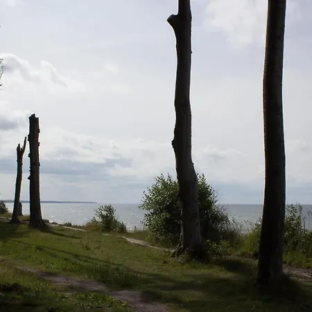 Arielle 아파트 오스치바드 닌하겐