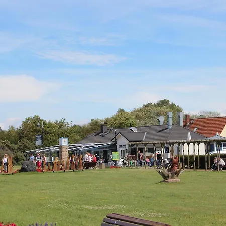 Arielle 오스치바드 닌하겐